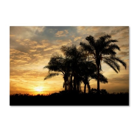 Mike Jones Photo 'Everglades Sunrise' Canvas Art,30x47